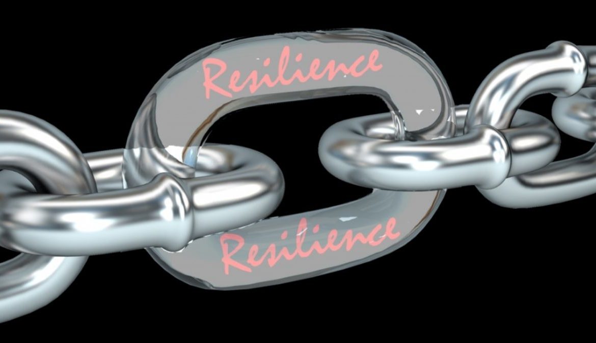 What is Supply Chain Resilience?